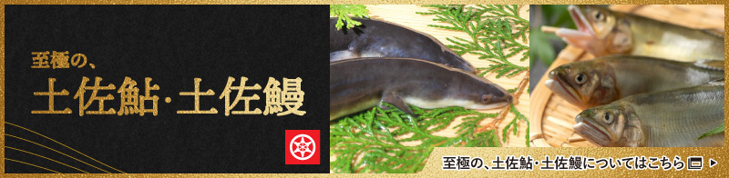 至極の、土佐鮎・土佐鰻についてはこちら